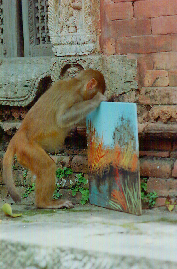 Una scimmia afferra un quadro